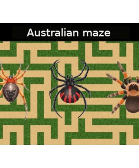 Australian maze Steam Key GLOBAL